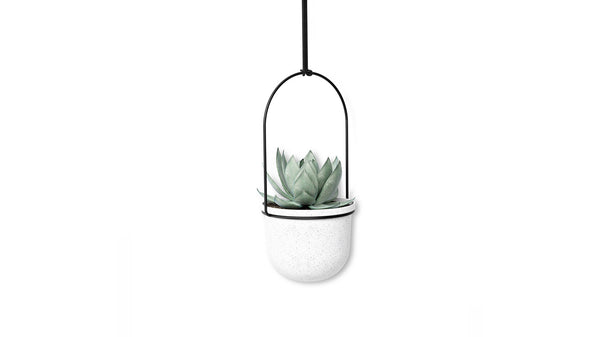 triflora 5 hanging planter