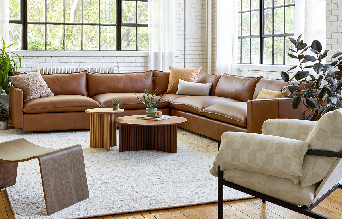 sola bi-sectional