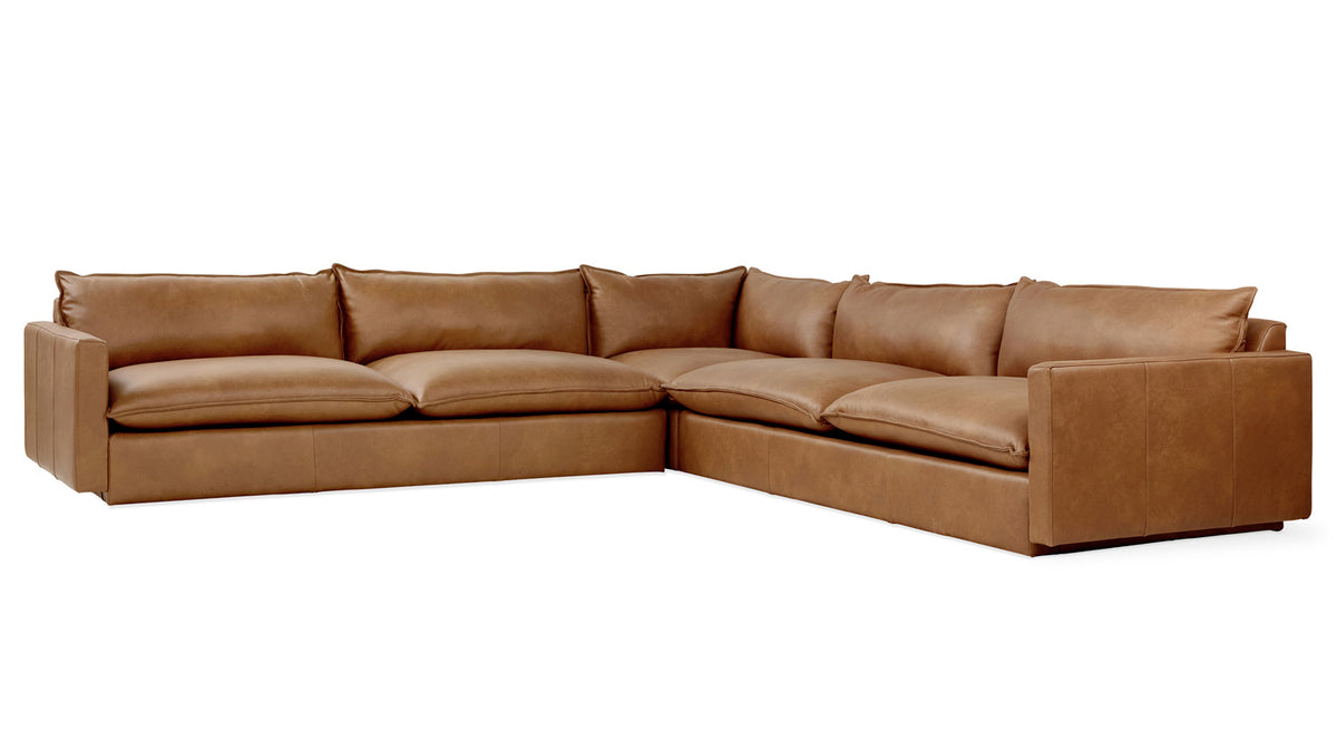 sola bi-sectional