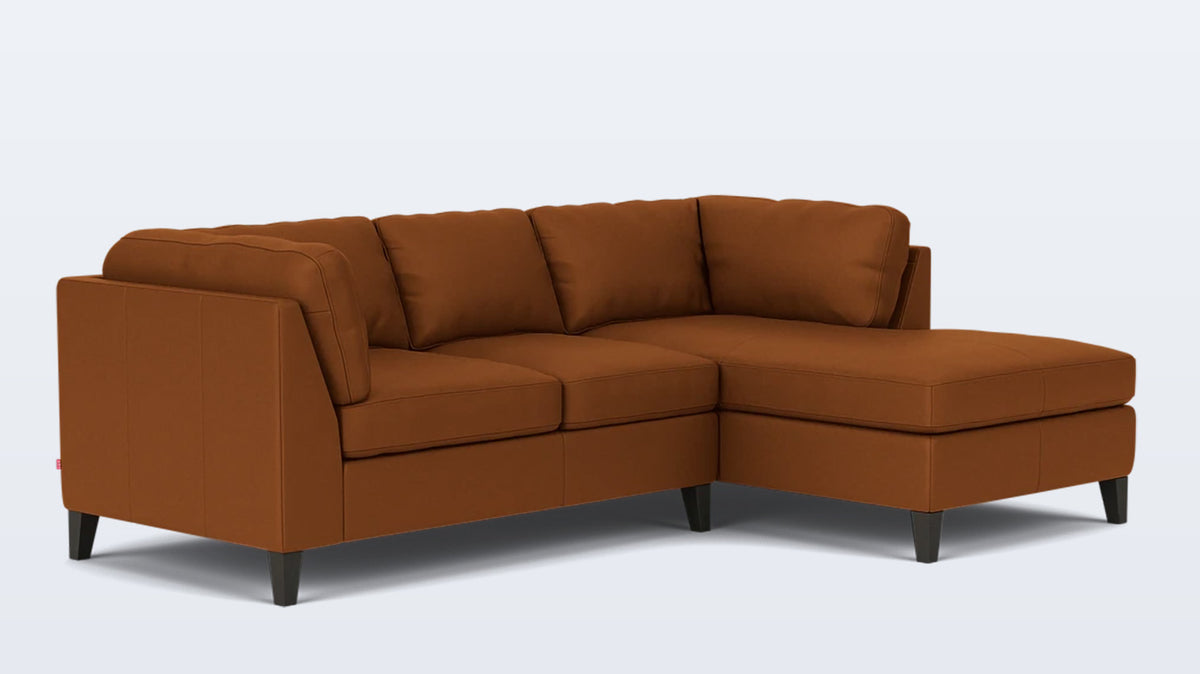 salema 2-piece sectional - leather