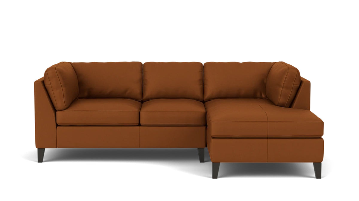 salema 2-piece sectional - leather