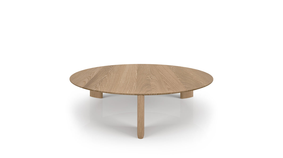 ziggy coffee table large