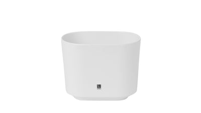 step toothbrush holder