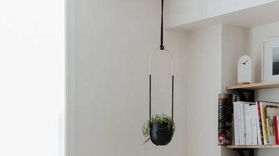 bolo hanging planter