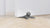 buddy doorstop