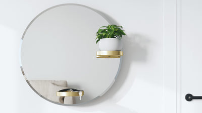 perch mirror