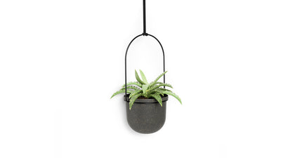 triflora 5 hanging planter