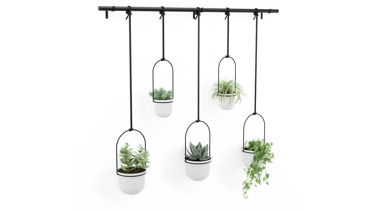 triflora 5 hanging planter