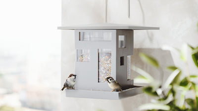 bird cafe bird feeder