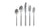 ames flatware set
