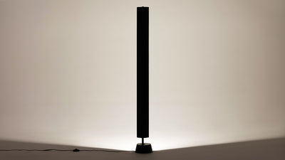 oxford dunce floor lamp