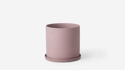 palm pot