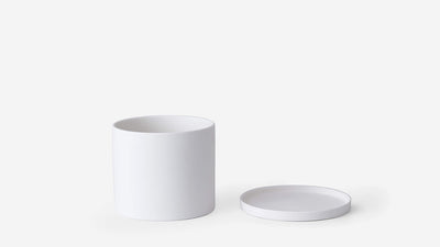 palm pot