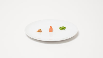 wila dinner plate