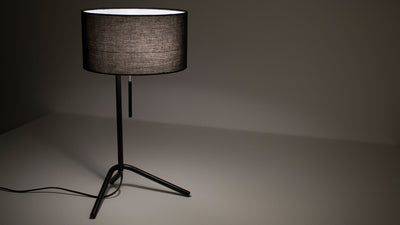 micah table lamp